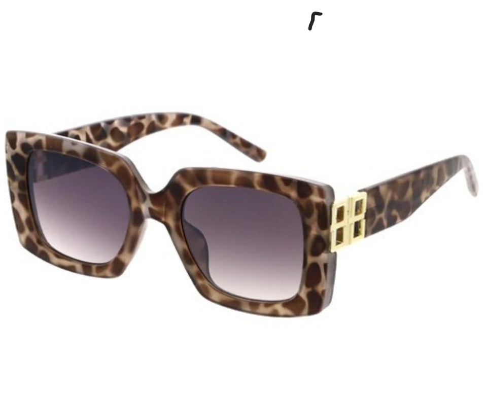 Square Sunglasses with Gold Detail Temples